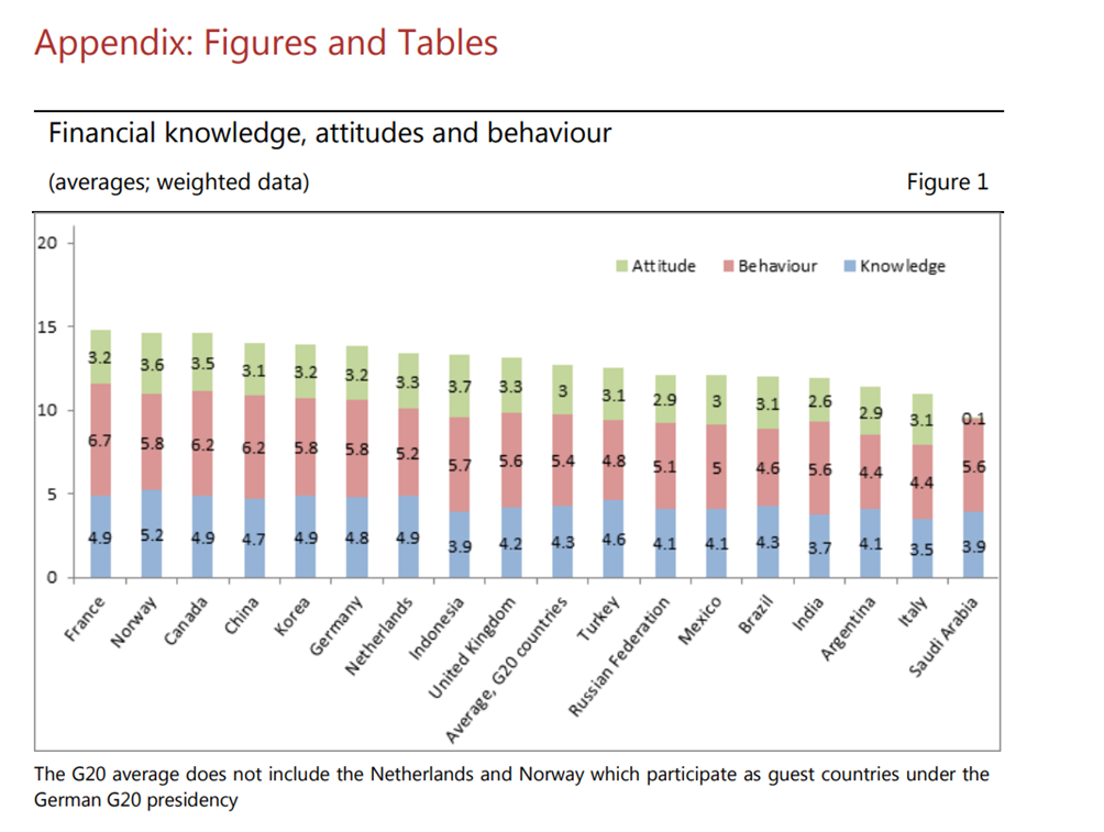 risultati sulla conoscenza e cultura finanziaria nei paesi del G20